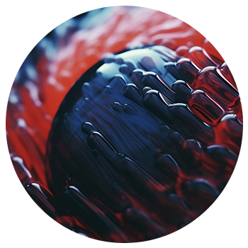 App & Web Development